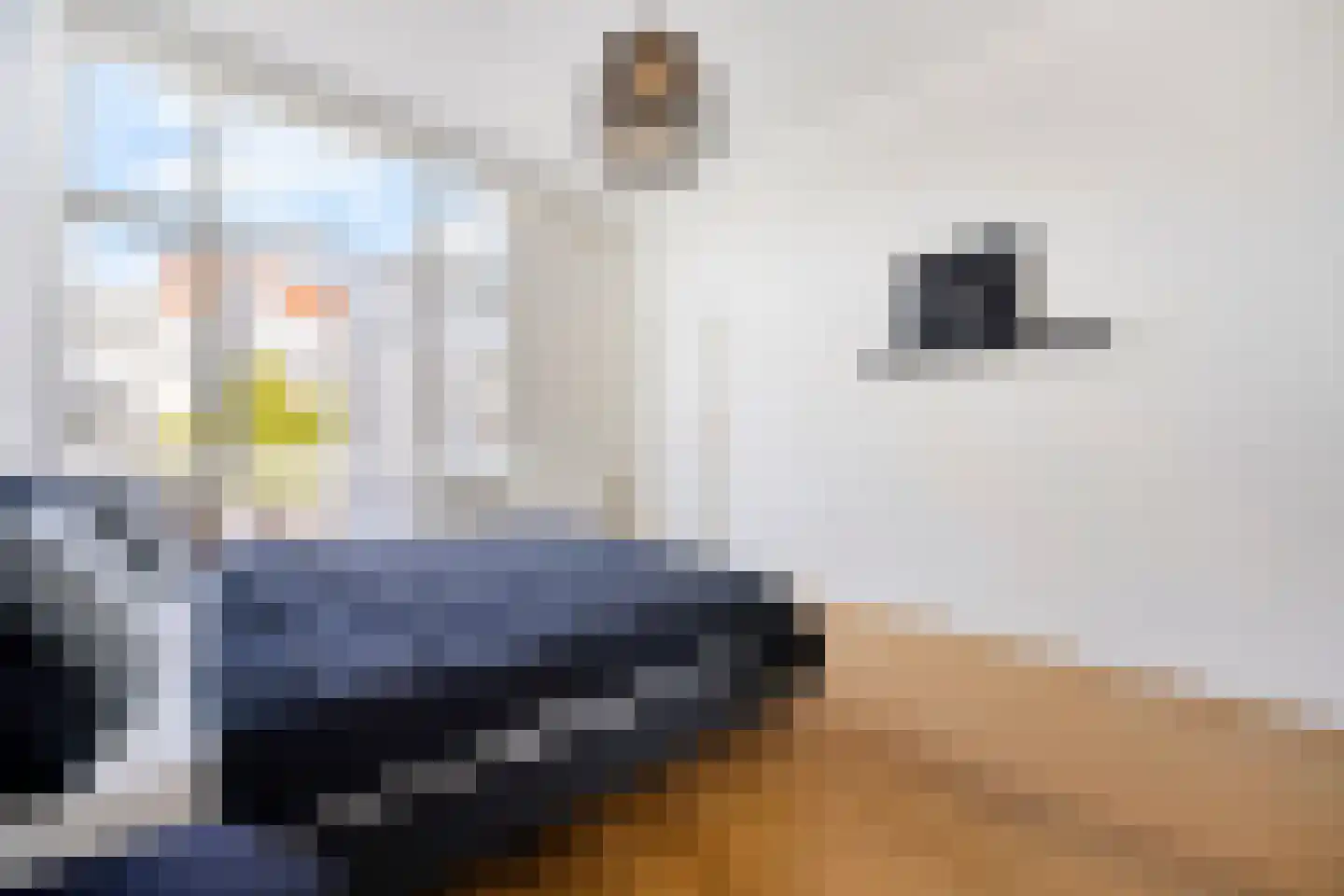 Theresiastraat 196 Den Haag thumbnail 16