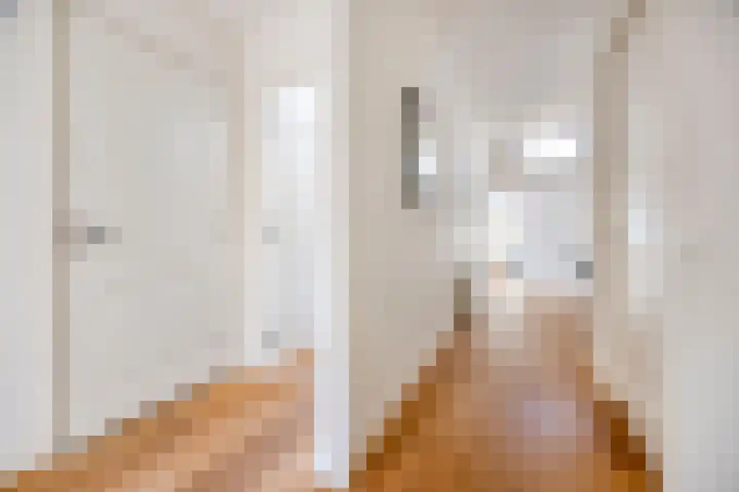 Theresiastraat 196 Den Haag thumbnail 5
