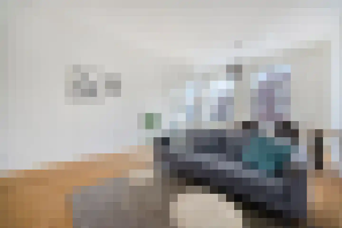 Theresiastraat 196 Den Haag thumbnail 6