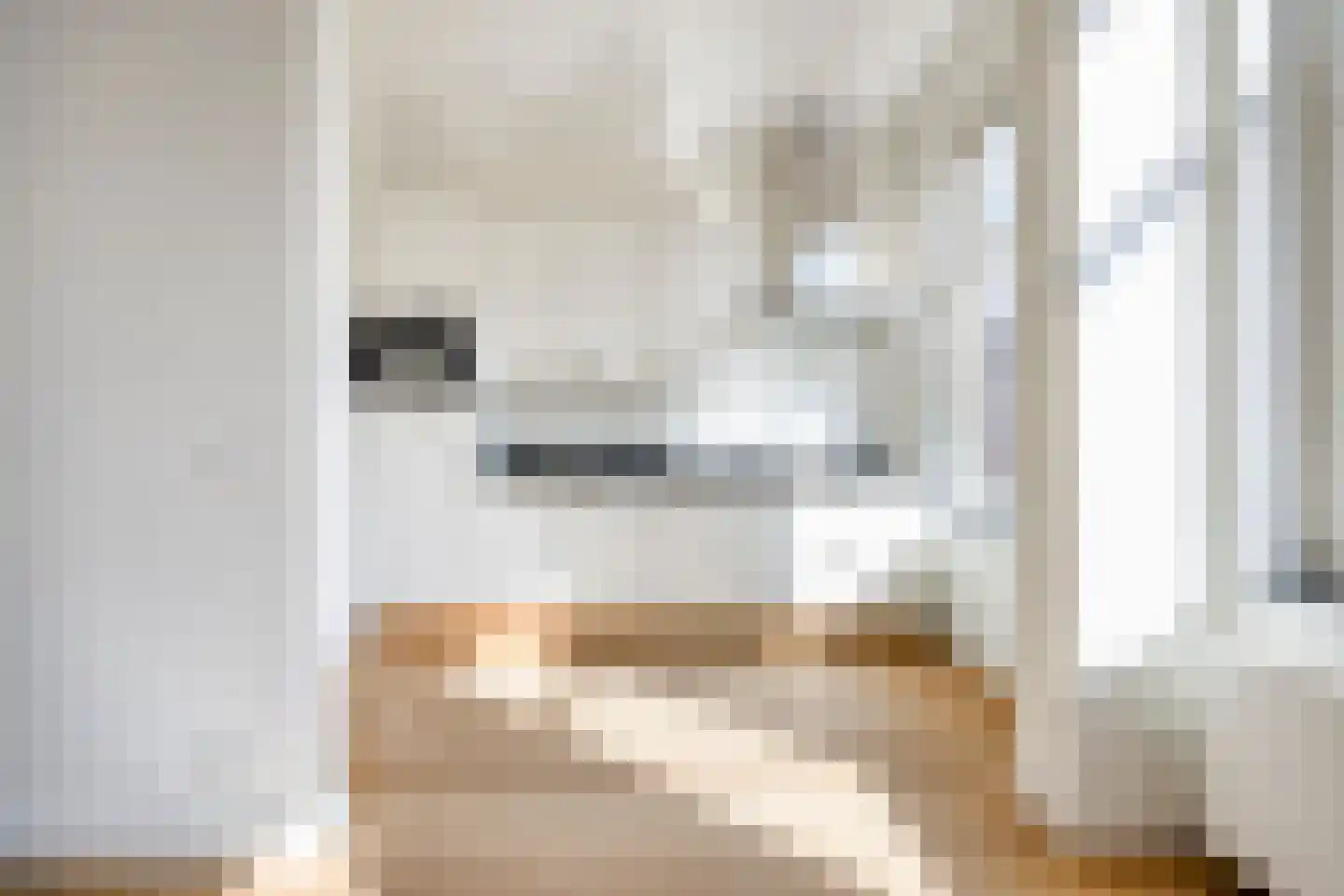 Theresiastraat 196 Den Haag thumbnail 8