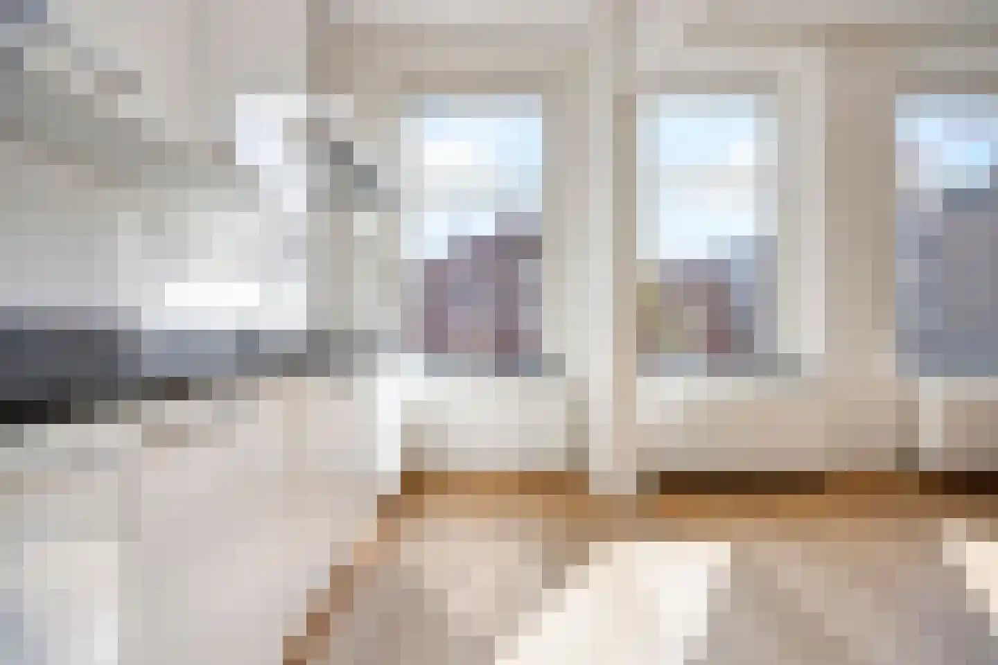 Theresiastraat 196 Den Haag thumbnail 9