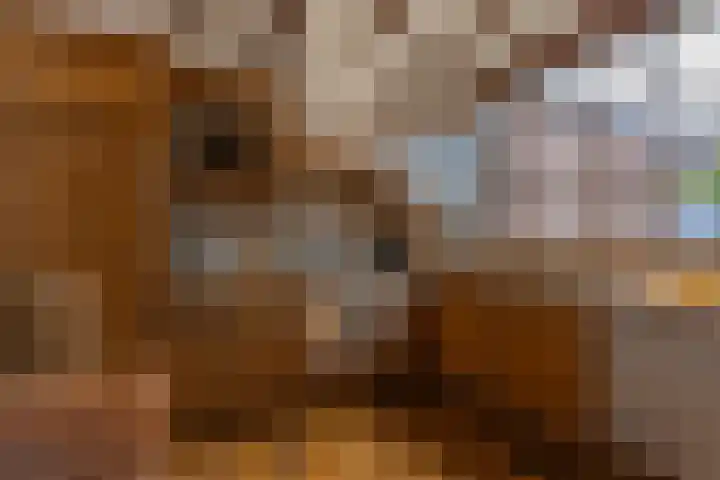 Theresiastraat 20 Kerkrade thumbnail 11