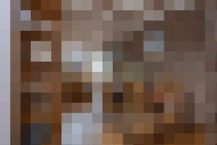 Theresiastraat 20 Kerkrade thumbnail 9