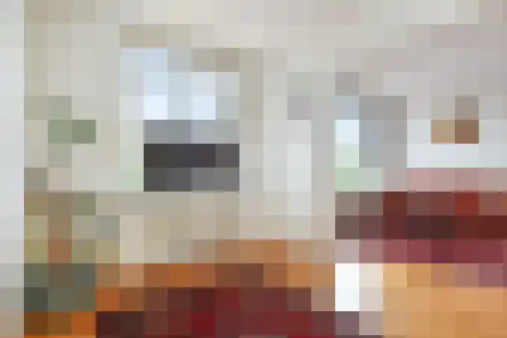 Theresiastraat 211 Den Haag thumbnail 10