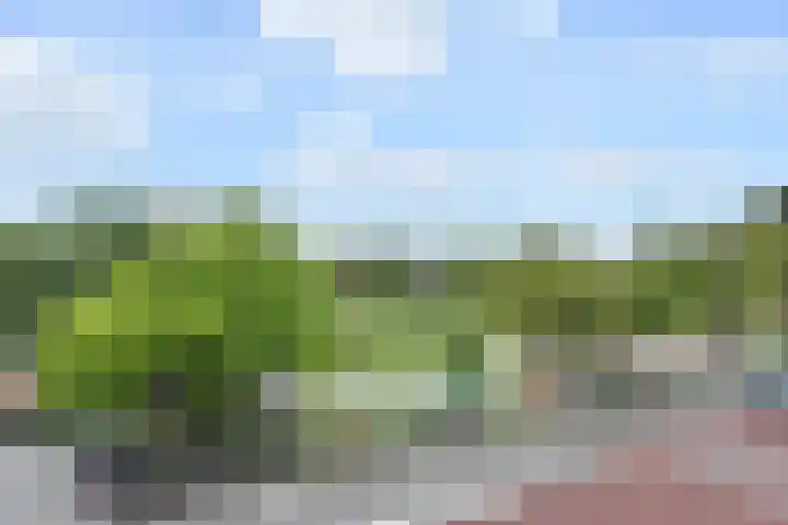 Theresiastraat 211 Den Haag thumbnail 11