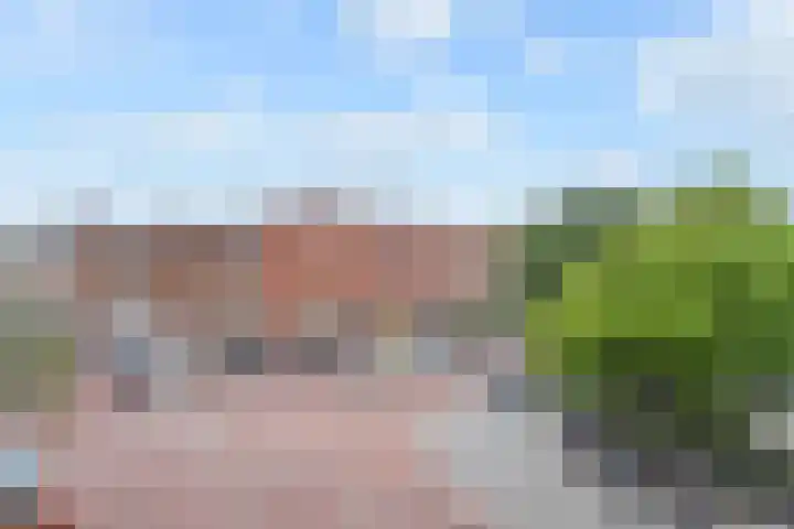 Theresiastraat 211 Den Haag thumbnail 12