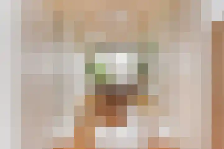 Theresiastraat 211 Den Haag thumbnail 13