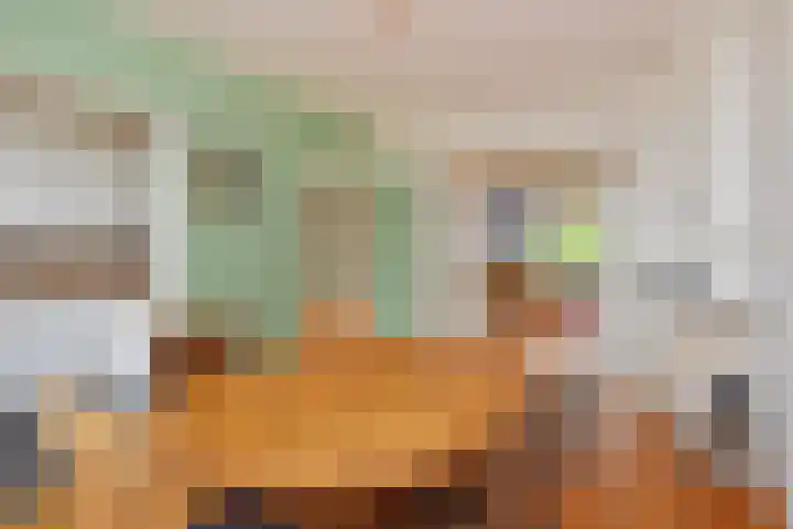 Theresiastraat 211 Den Haag thumbnail 15