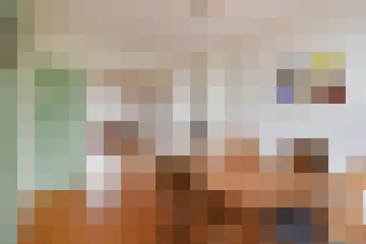 Theresiastraat 211 Den Haag thumbnail 16
