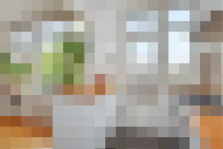 Theresiastraat 211 Den Haag thumbnail 18