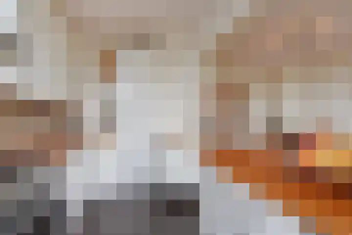 Theresiastraat 211 Den Haag thumbnail 19