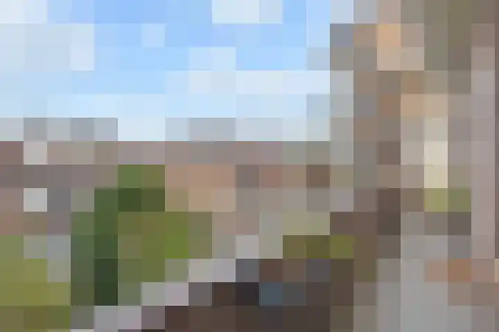 Theresiastraat 211 Den Haag thumbnail 22