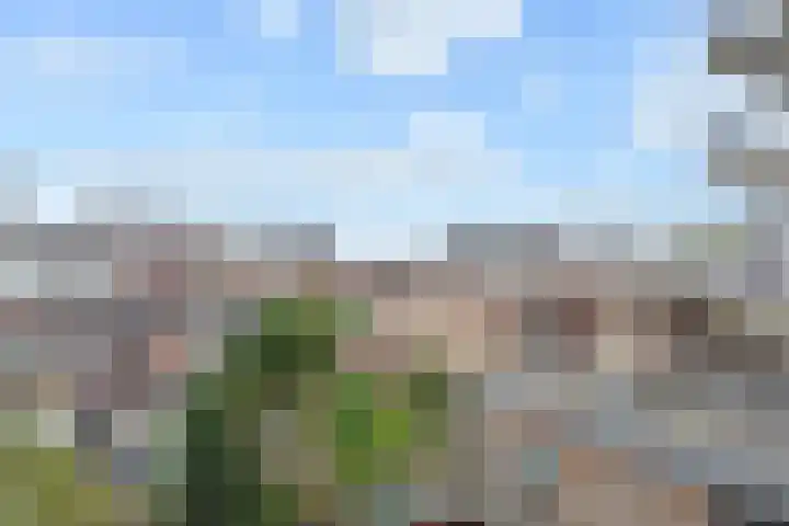 Theresiastraat 211 Den Haag thumbnail 23