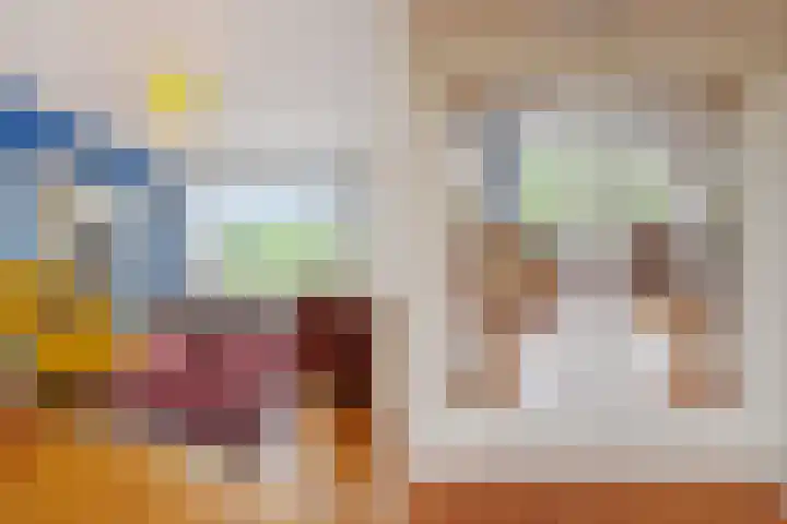 Theresiastraat 211 Den Haag thumbnail 24