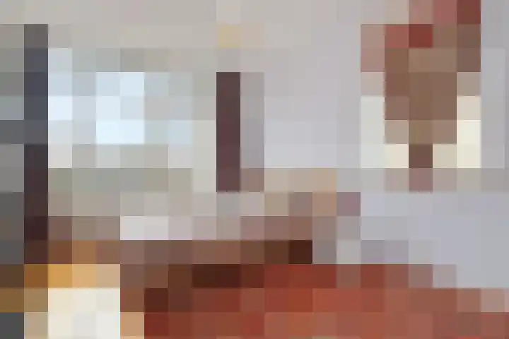 Theresiastraat 211 Den Haag thumbnail 29