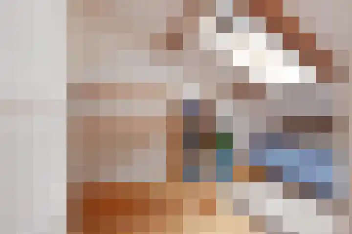 Theresiastraat 211 Den Haag thumbnail 44
