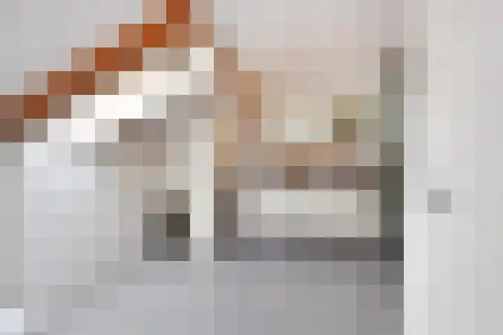 Theresiastraat 211 Den Haag thumbnail 47