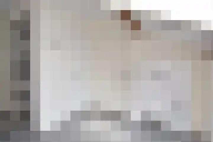 Theresiastraat 211 Den Haag thumbnail 49
