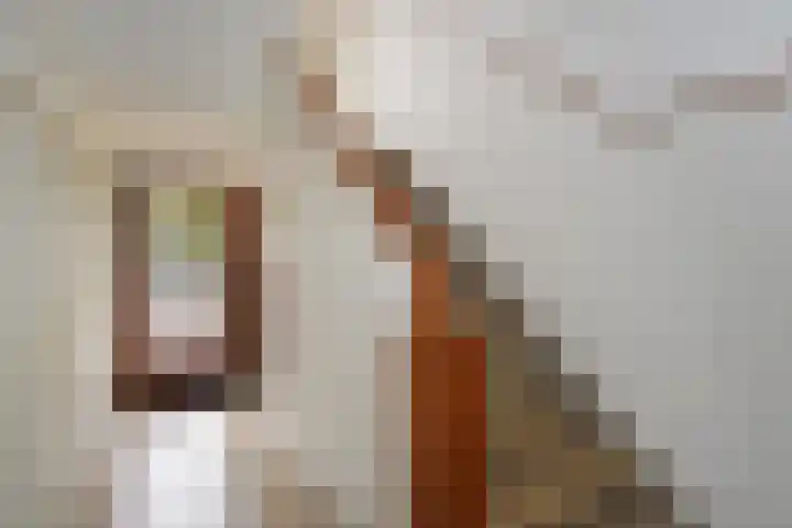 Theresiastraat 211 Den Haag thumbnail 53