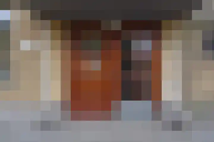 Theresiastraat 211 Den Haag thumbnail 54