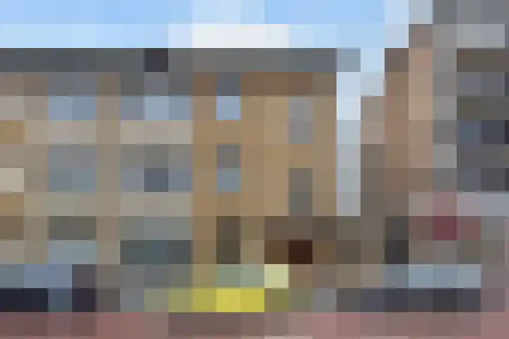 Theresiastraat 211 Den Haag thumbnail 55