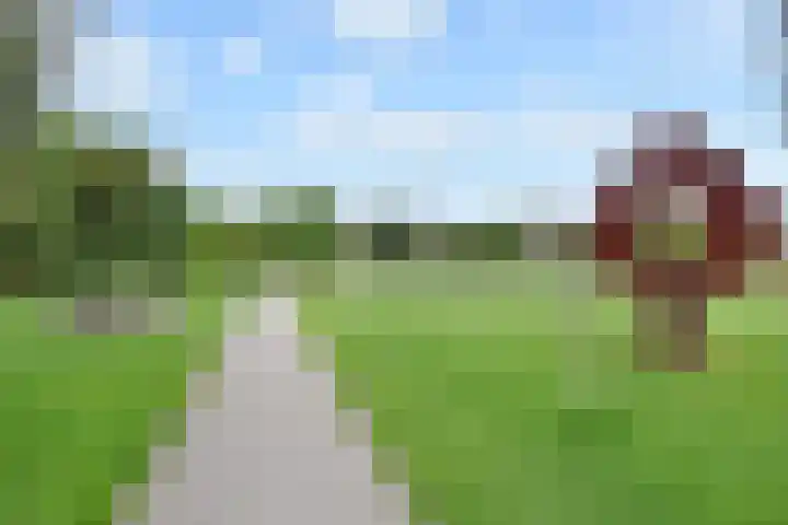 Theresiastraat 211 Den Haag thumbnail 57