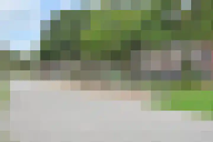 Theresiastraat 211 Den Haag thumbnail 58