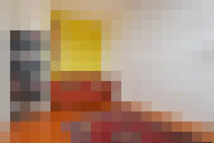 Theresiastraat 211 Den Haag thumbnail 7