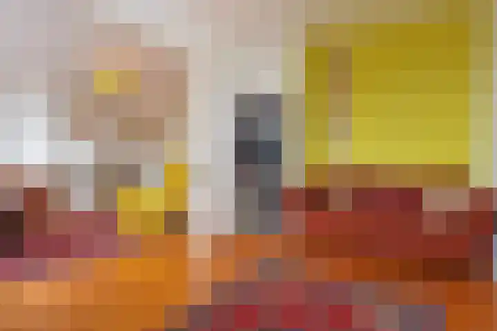 Theresiastraat 211 Den Haag thumbnail 8