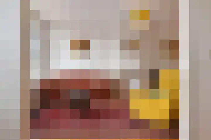 Theresiastraat 211 Den Haag thumbnail 9