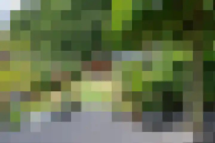 Theresiastraat 22 Einighausen thumbnail 26