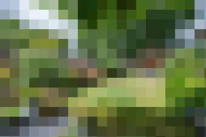 Theresiastraat 22 Einighausen thumbnail 27
