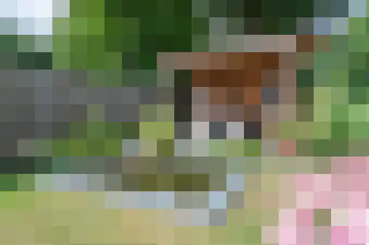 Theresiastraat 22 Einighausen thumbnail 28