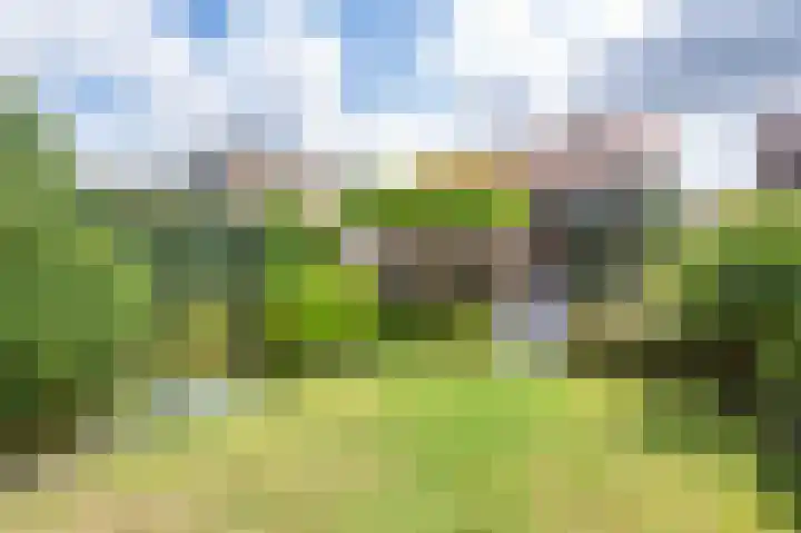 Theresiastraat 22 Einighausen foto 3