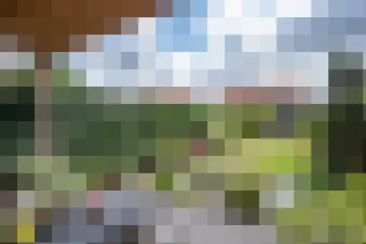 Theresiastraat 22 Einighausen thumbnail 30