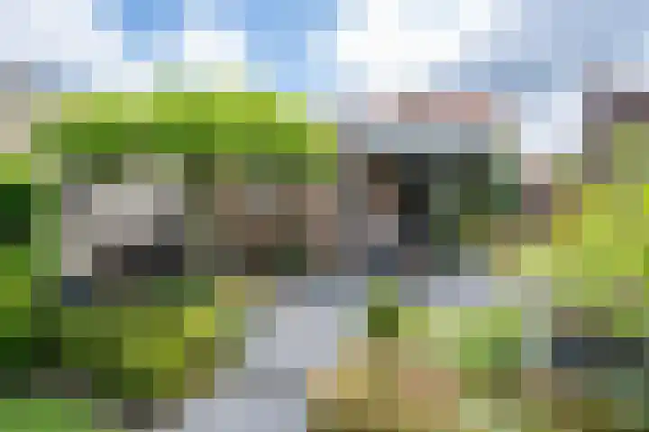 Theresiastraat 22 Einighausen thumbnail 31