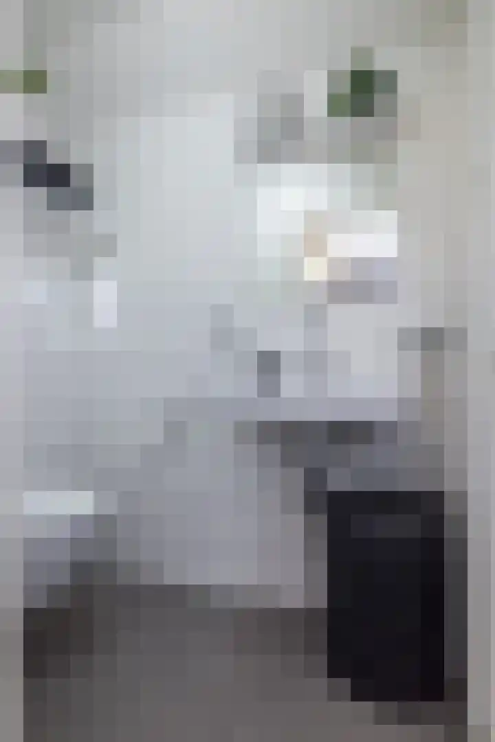 Theresiastraat 22 Einighausen thumbnail 35