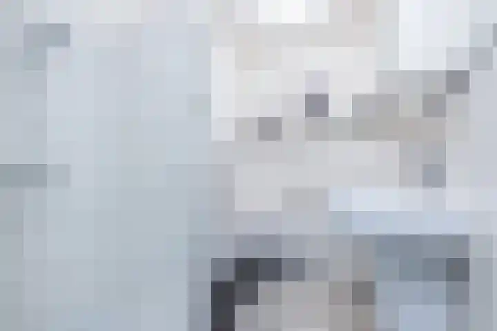 Theresiastraat 22 Einighausen thumbnail 36