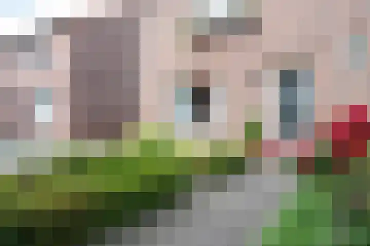 Theresiastraat 22 Einighausen thumbnail 7