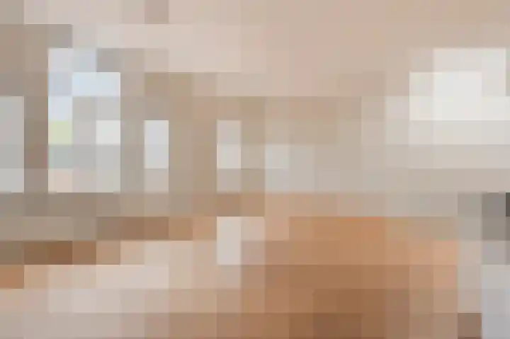 Theresiastraat 222 A Den Haag thumbnail 11