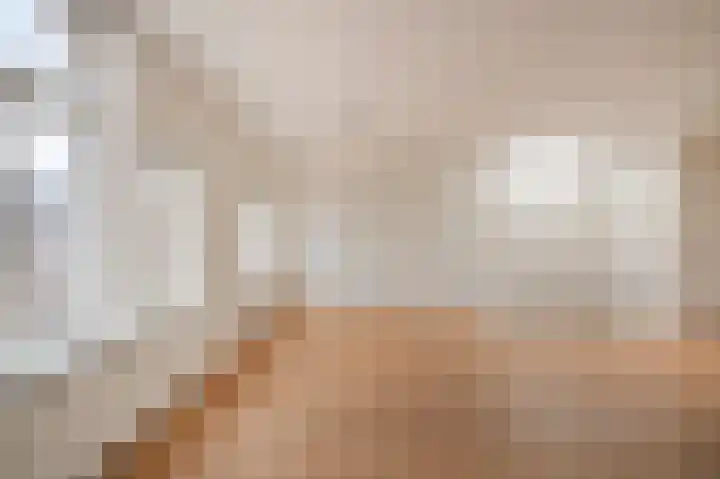 Theresiastraat 222 A Den Haag thumbnail 13