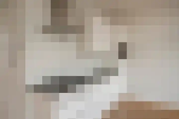 Theresiastraat 222 A Den Haag thumbnail 17