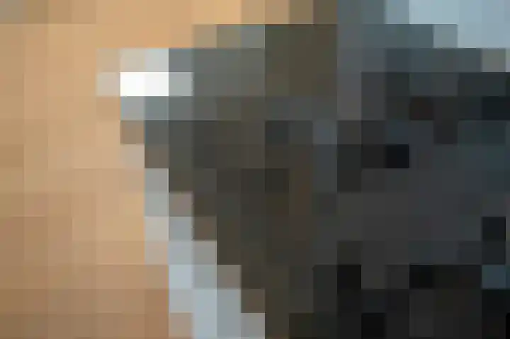 Theresiastraat 222 A Den Haag thumbnail 18