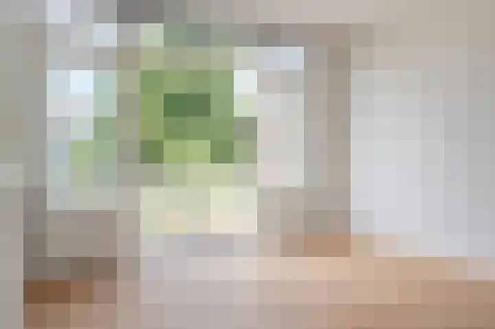 Theresiastraat 222 A Den Haag thumbnail 21