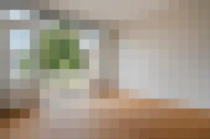 Theresiastraat 222 A Den Haag thumbnail 22