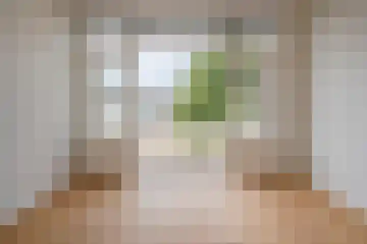 Theresiastraat 222 A Den Haag thumbnail 23