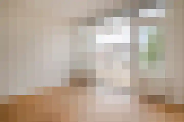 Theresiastraat 222 A Den Haag thumbnail 24
