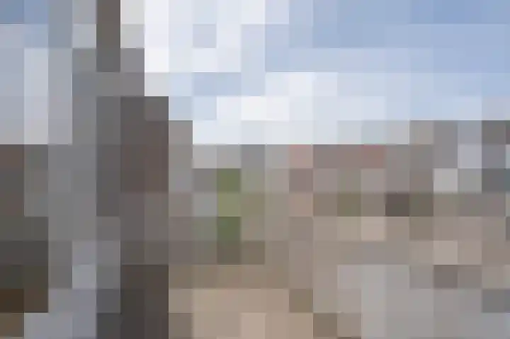 Theresiastraat 222 A Den Haag thumbnail 25