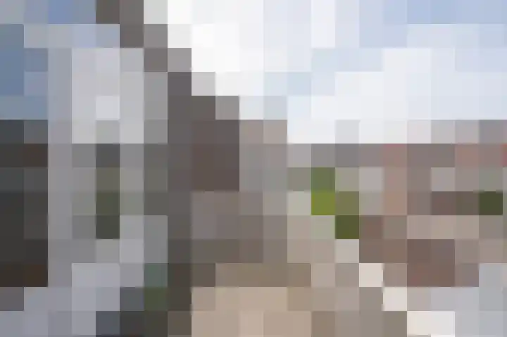 Theresiastraat 222 A Den Haag thumbnail 26