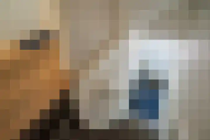 Theresiastraat 222 A Den Haag thumbnail 35
